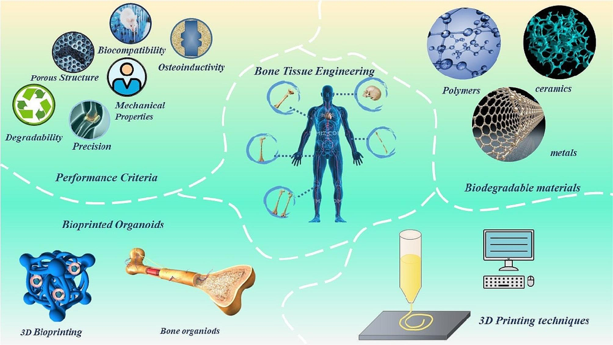 Beyond hype: unveiling the Real challenges in clinical translation