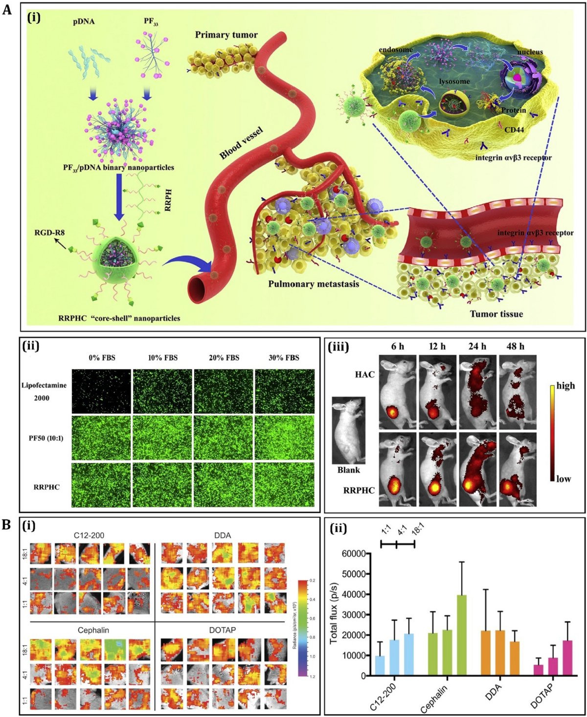 Avis sur docteur thierry solans (88) foto