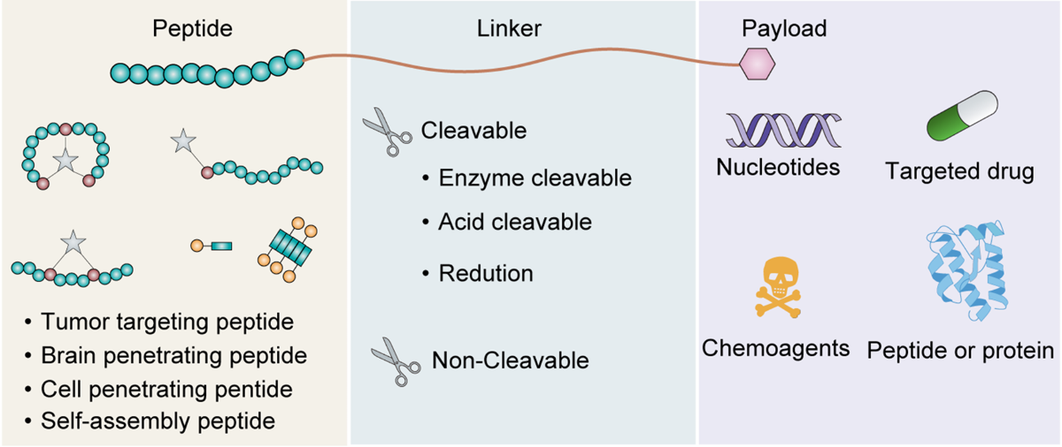 glutathione thioether bonds Glutathione Disulfide - an overview