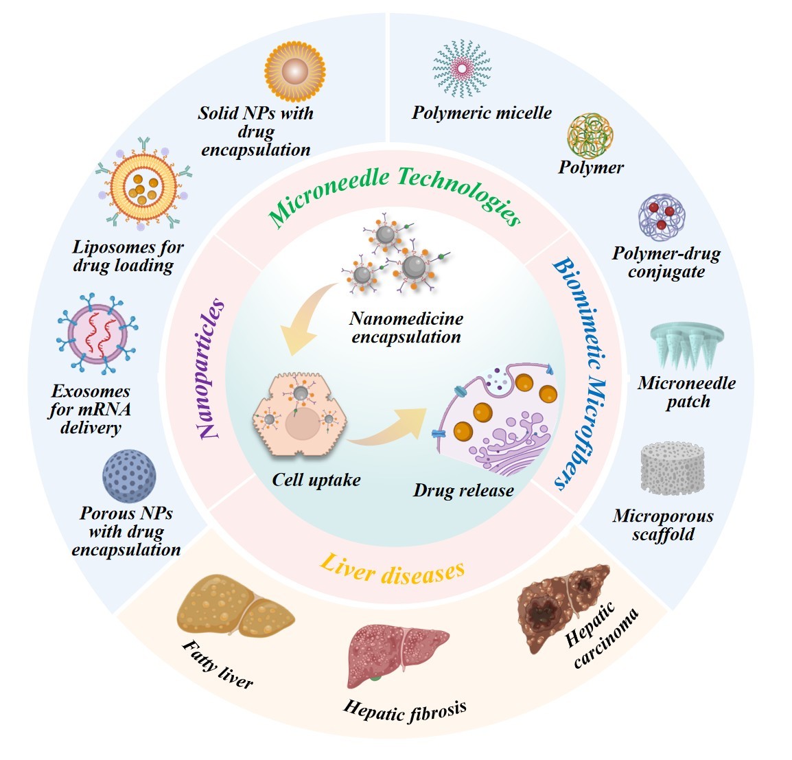 Emerging nanomedicine for liver diseases treatment | Journal of  Nanobiotechnology