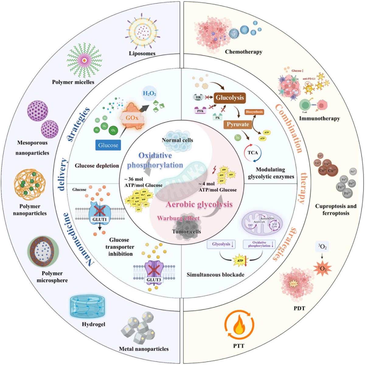 glutathione and superoxide dismutase First line defence antioxidants-superoxide dismutase (SOD), catalase (CAT)  and glutathione peroxidase (GPX): Their fundamental role in the entire  antioxidant defence grid