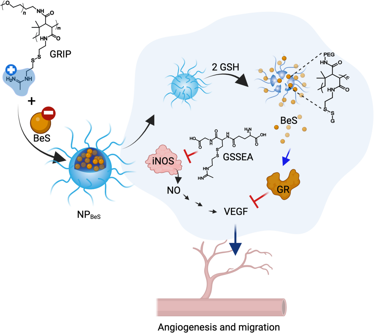glutathione plasticity Glutathione Restores the Mechanism of Synaptic Plasticity in Aged Mice to  That of the Adult
