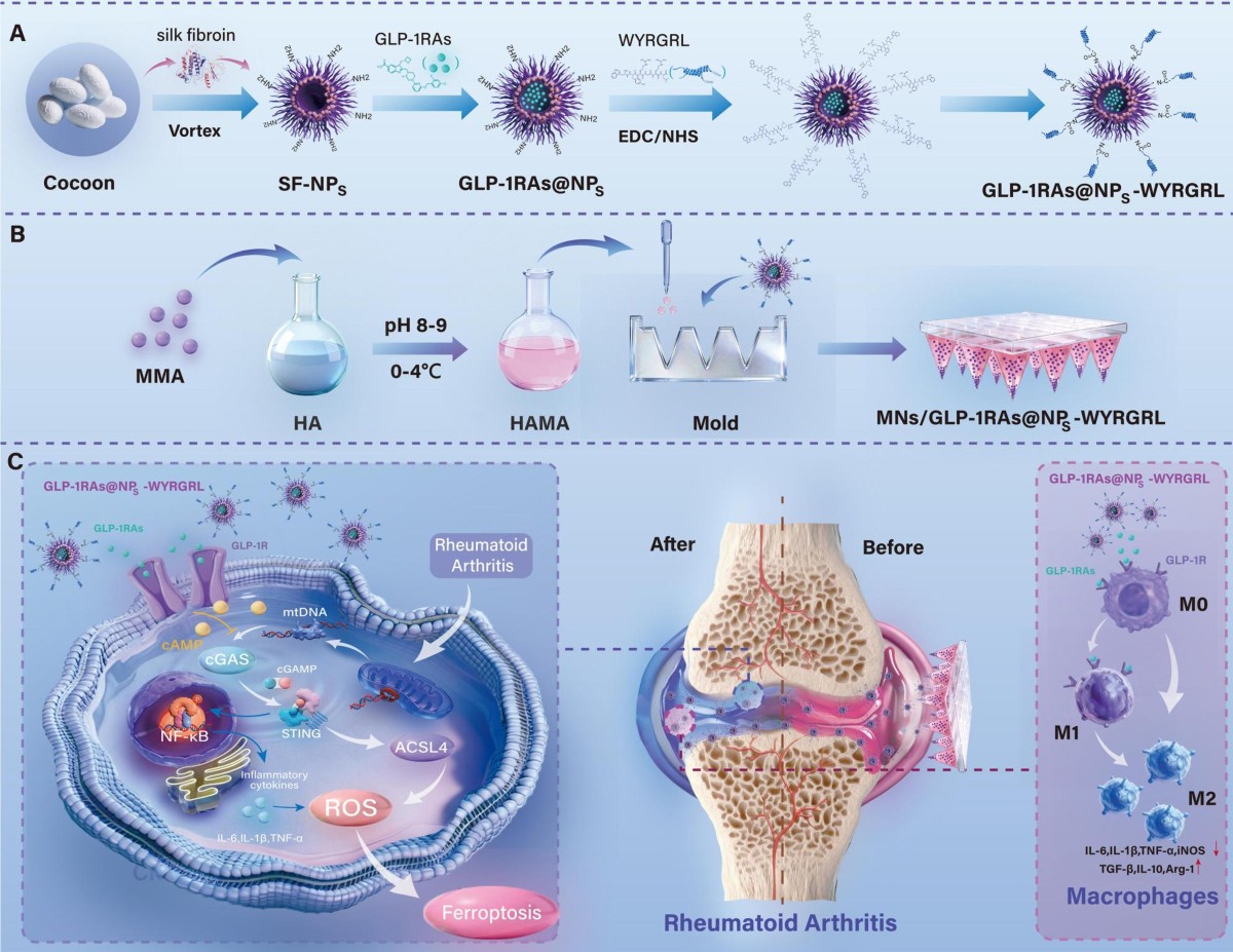 mayo clinic glp 1 oral solution Beyond Ozempic: The GLP-1 boom mayo clinic glp 1 oral solution Beyond Ozempic: The GLP-1 boom