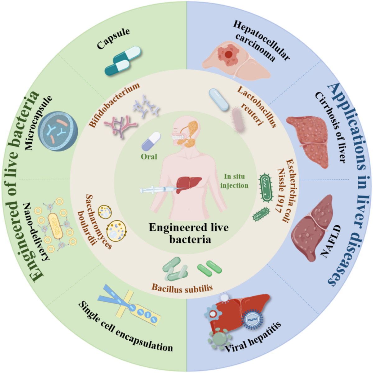 does fasting increase glutathione production naturally The 7 Best Glutathione Foods