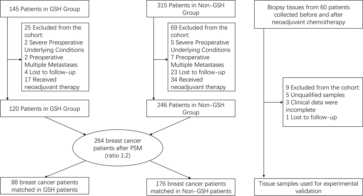 glutathione used for cancer patients Excessive glutathione intake contributes to chemotherapy resistance in  breast cancer: a propensity score matching analysis | World Journal of  Surgical Oncology