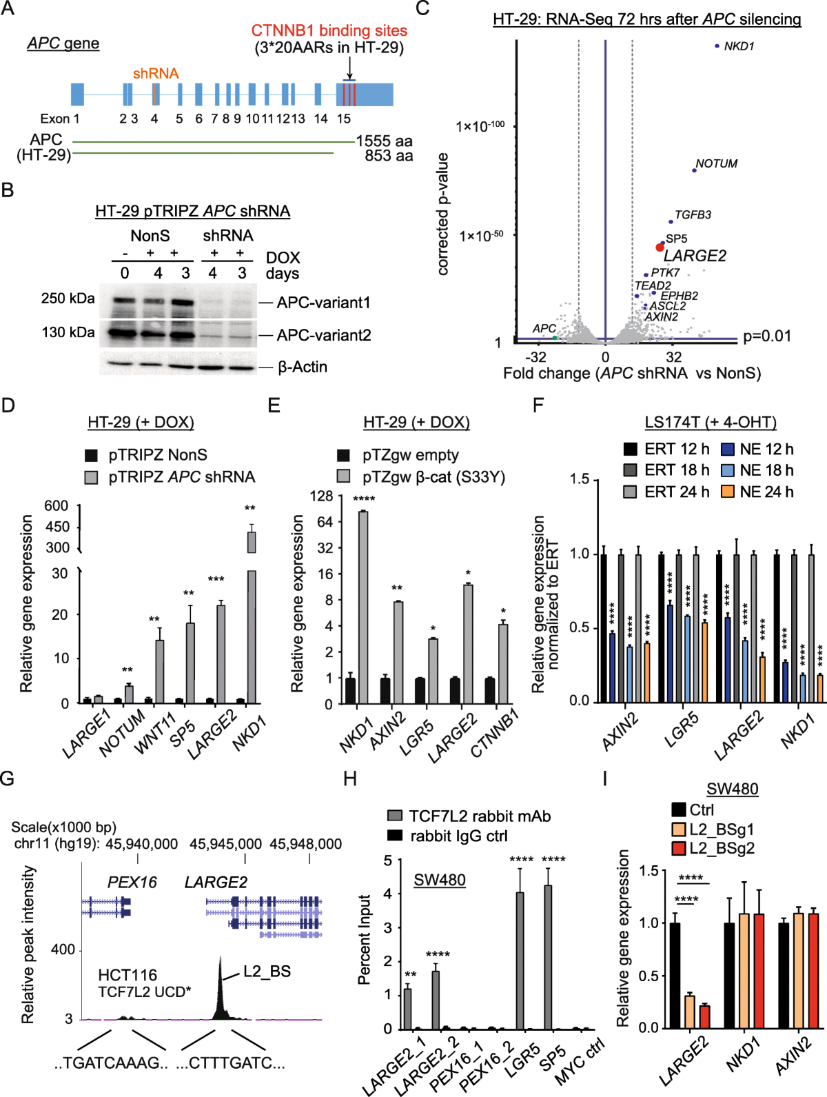  lsm nude ls-020 National Institute for Basic Biology
