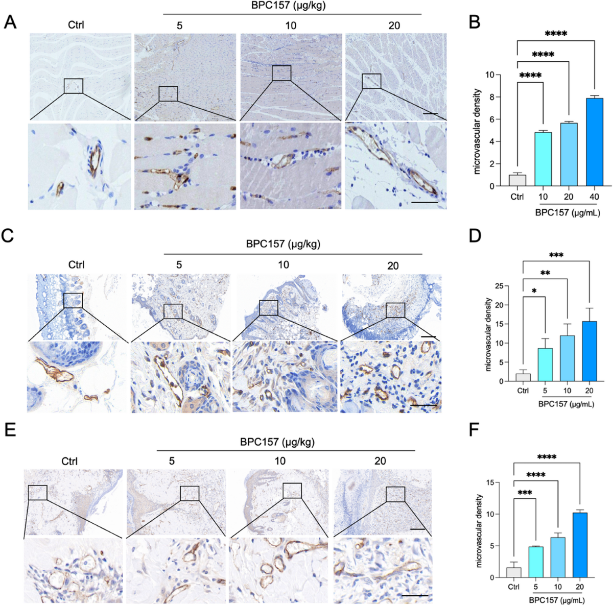bpc-157 phase ii ulcerative colitis BPC-157 Clinical Profile | Research & Applications