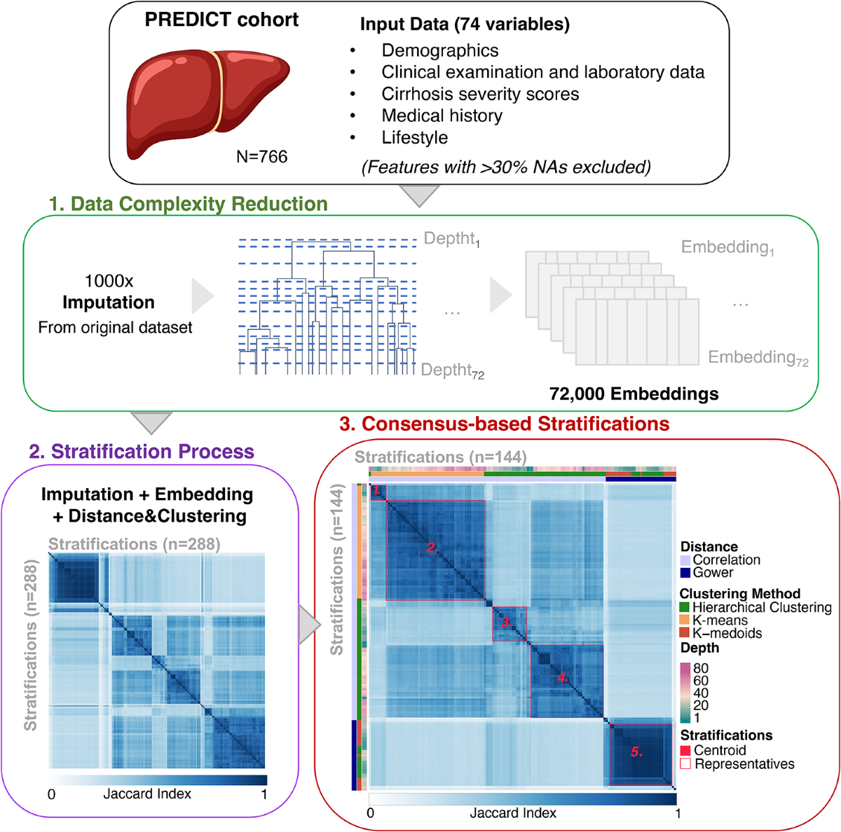 A robust clustering strategy for stratification unveils unique patient  subgroups in acutely decompensated cirrhosis | Journal of Translational  Medicine, image size:1200x1188