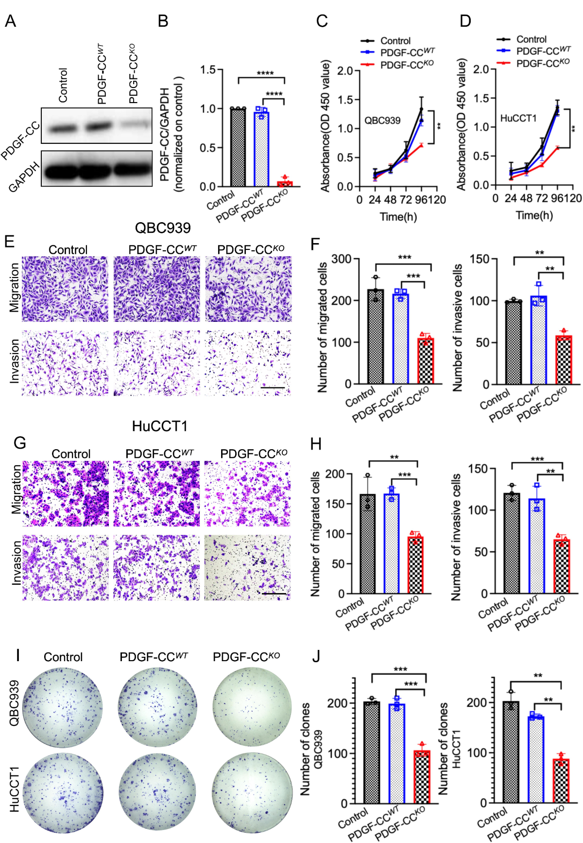 Targeting PDGF-CC as a promising therapeutic strategy to inhibit  cholangiocarcinoma progression | Journal of Translational Medicine