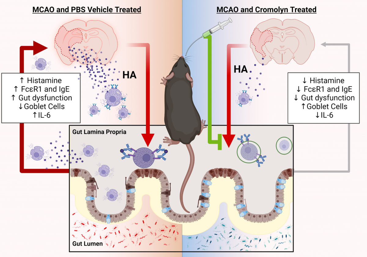 ipamorelin effects on appetite ipamorelin vs ghrp-2 ghrp-6 side effects hunger prolactin cortisol CJC-1295/Ipamorelin Benefits, Side Effects, and Cost: The Complete Patient Guide ipamorelin effects on appetite ipamorelin vs ghrp-2 ghrp-6 side effects hunger prolactin cortisol CJC-1295/Ipamorelin Benefits, Side Effects, and Cost: The Complete Patient Guide