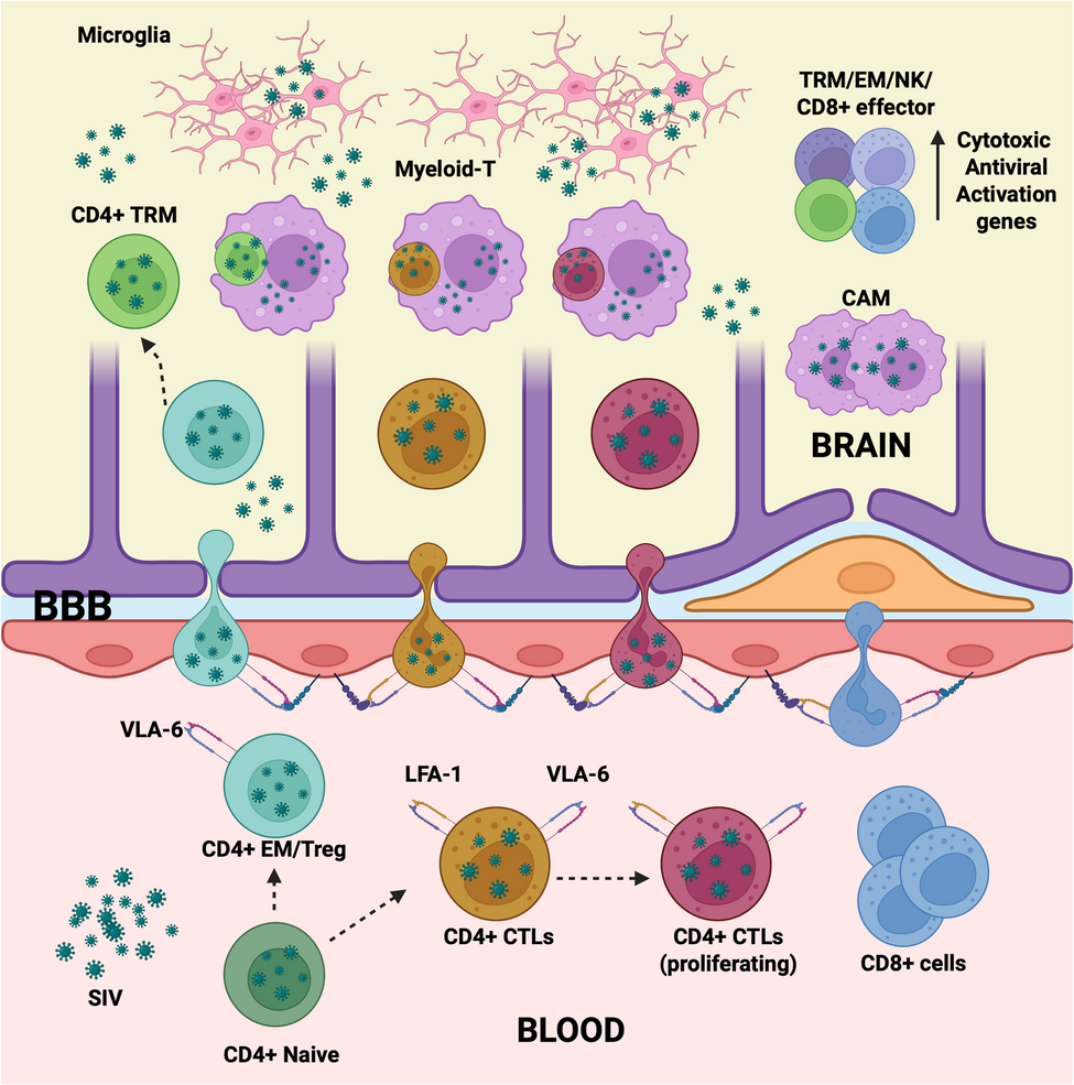 Piotr Anderszewski returns to the Barbican - Piotr Anderszewski | Askonas  Holt, image size:975x985
