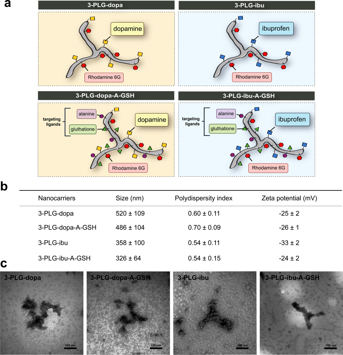 Alanine and glutathione targeting of dopamine- or ibuprofen-coupled  polypeptide nanocarriers increases both crossing and protective effects on  a blood–brain barrier model | Fluids and Barriers of the CNS
