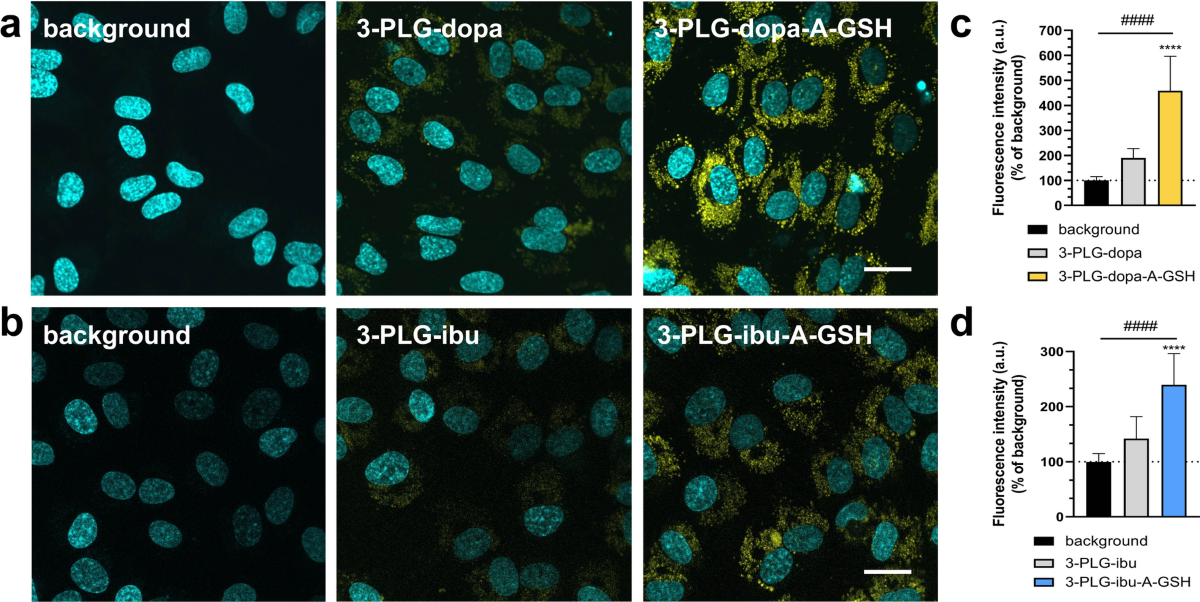 Alanine and glutathione targeting of dopamine- or ibuprofen-coupled  polypeptide nanocarriers increases both crossing and protective effects on  a bloodbrain barrier model | Fluids and Barriers of the CNS | Springer  Nature Link