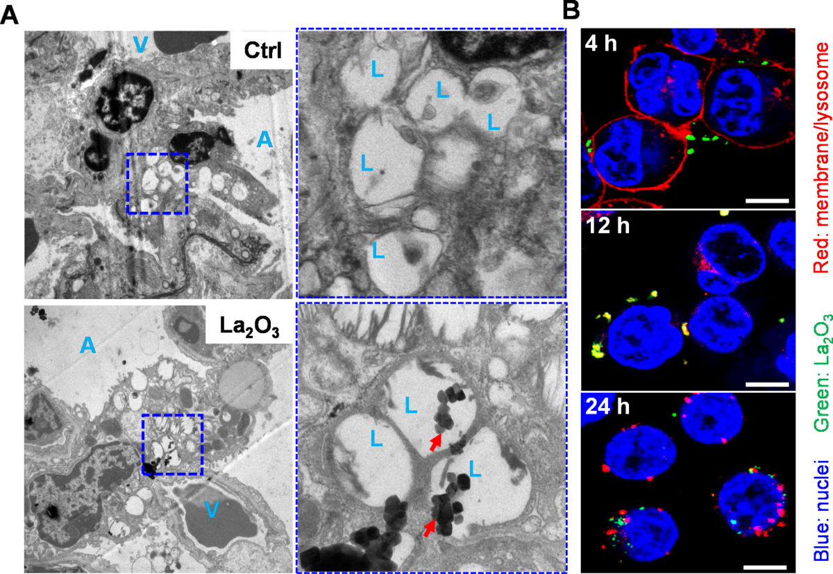 EPON AF-102 座ら 9.5° 1W ツアーAD MJ 6S 