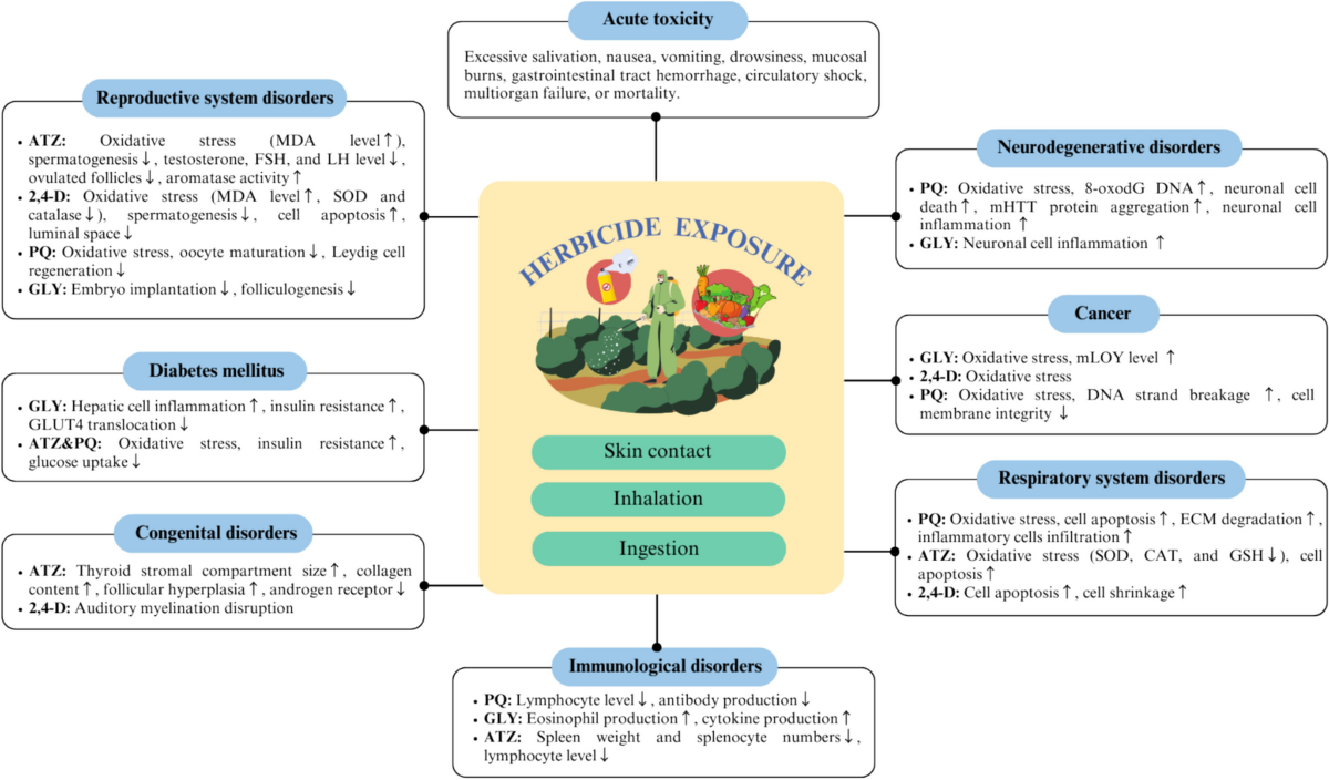 Herbicide-related health risks: key mechanisms and a guide to mitigation  strategies | Journal of Occupational Medicine and Toxicology | Springer  Nature Link