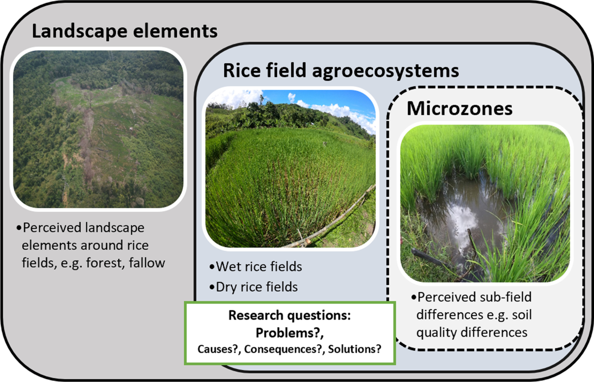 Indigenous farmers' perceptions of problems in the rice field