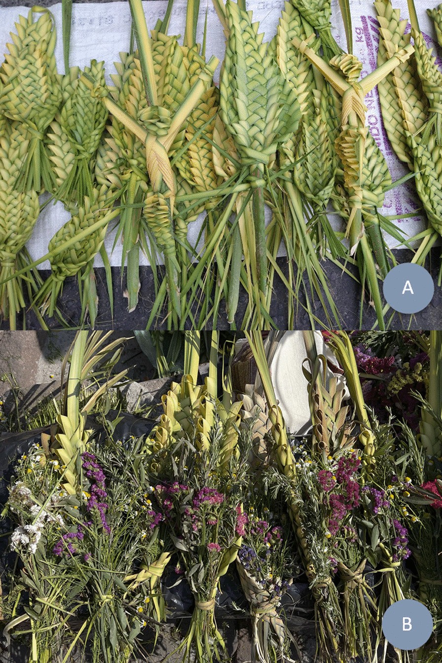 Palm Sunday in central Mexico: among sellers, palms and syncretism |  Journal of Ethnobiology and Ethnomedicine | Springer Nature Link