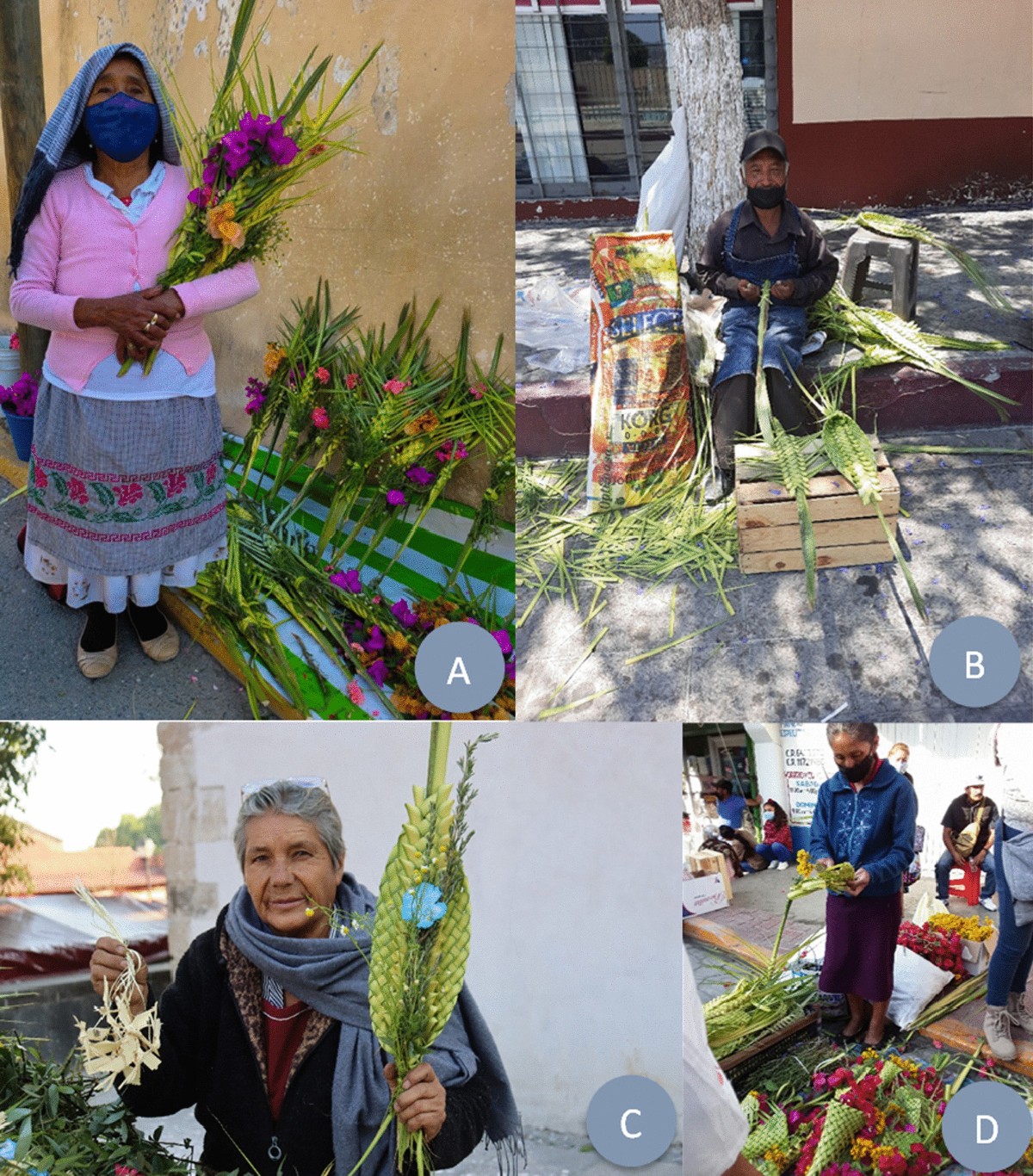 Palm Sunday in central Mexico: among sellers, palms and syncretism |  Journal of Ethnobiology and Ethnomedicine | Springer Nature Link