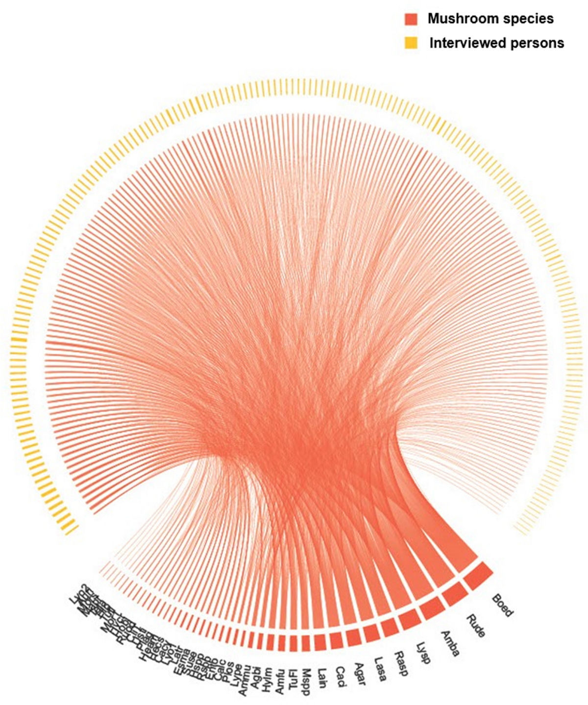 Wild fungi used in an ecoturistic town in Central Mexico | Journal of  Ethnobiology and Ethnomedicine | Springer Nature Link