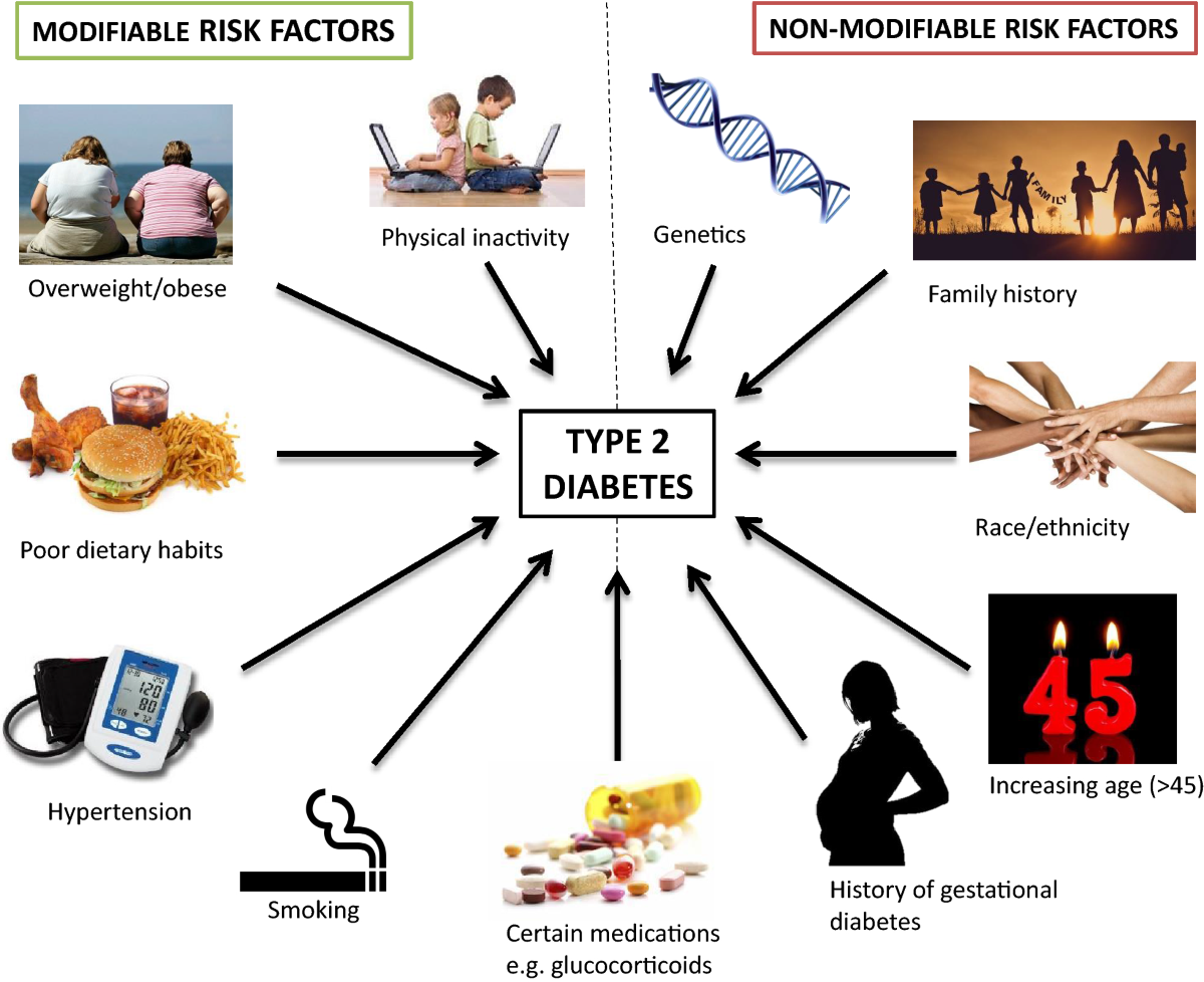 Understanding glycaemic control and current approaches for screening antidiabetic natural products from evidence-based medicinal plants | Plant Methods