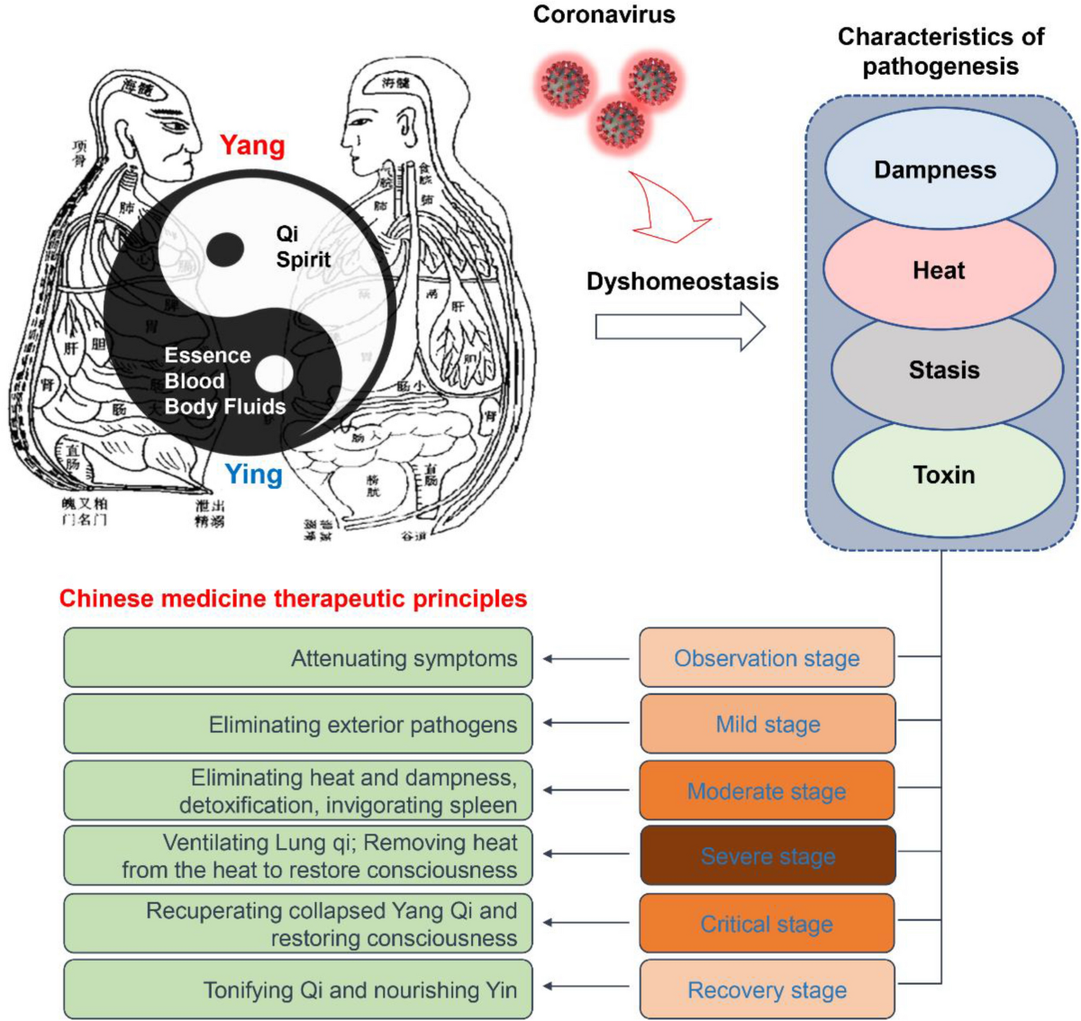 Reflections on treatment of COVID-19 with traditional Chinese medicine | Chinese Medicine | Full Text