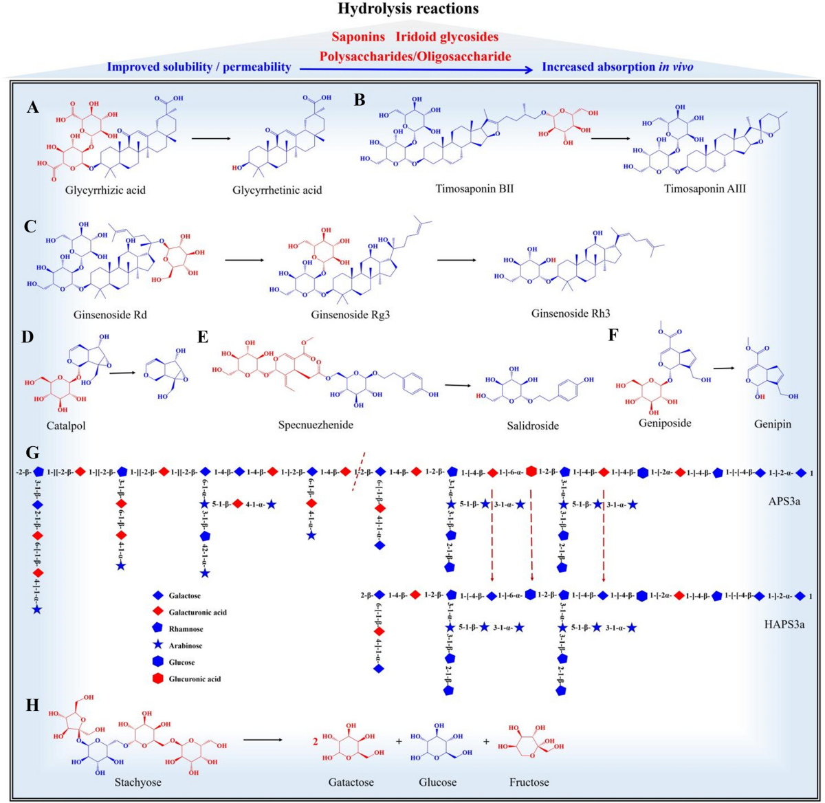 Interpreting the efficacy enhancement mechanism of Chinese medicine  processing from a biopharmaceutic perspective | Chinese Medicine | Springer  Nature Link