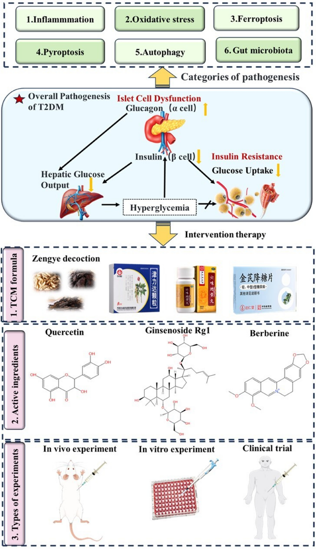 msm and glutathione levels MSM for Sports Nutrition