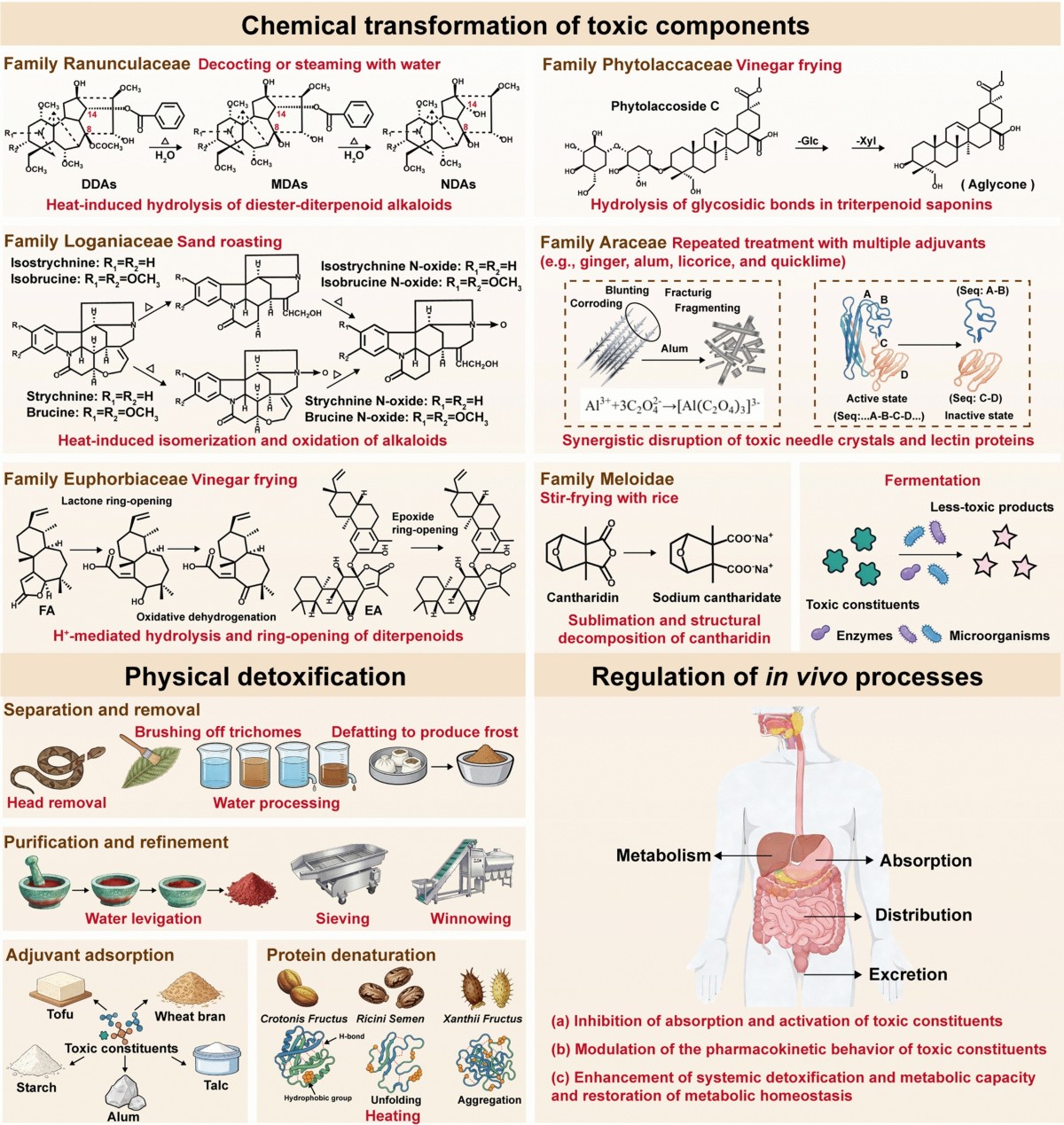 glutathione for atropine toxicity Enhanced ophthalmic bioavailability and stability of sulfate via sustained release particles using polystyrene sulfonate resin Processing-induced detoxification of toxic Traditional
