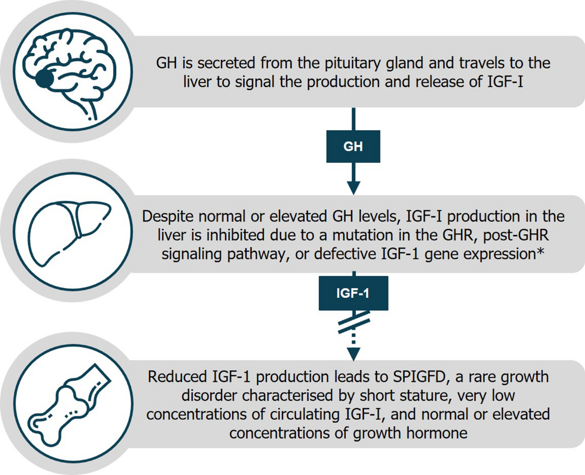 igf-1 lr3 hypoglycemia prevention Challenges in the care of individuals with severe primary insulin-like  growth factor-I deficiency (SPIGFD): an international, multi-stakeholder  perspective | Orphanet Journal of Rare Diseases