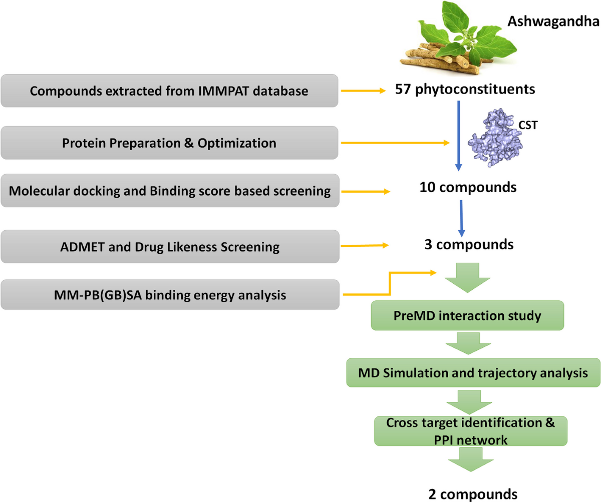 Phytoconstituents of Withania somnifera (L.) Dunal (Ashwagandha) unveiled  potential cerebroside sulfotransferase inhibitors: insight through virtual  screening, molecular dynamics, toxicity, and reverse pharmacophore analysis 