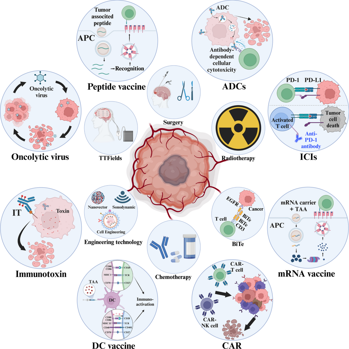understanding-the-immunosuppressive-microenvironment-of-glioma-mechanistic-insights-and-clinical-perspectives-journal-of-hematology-oncology-full-text