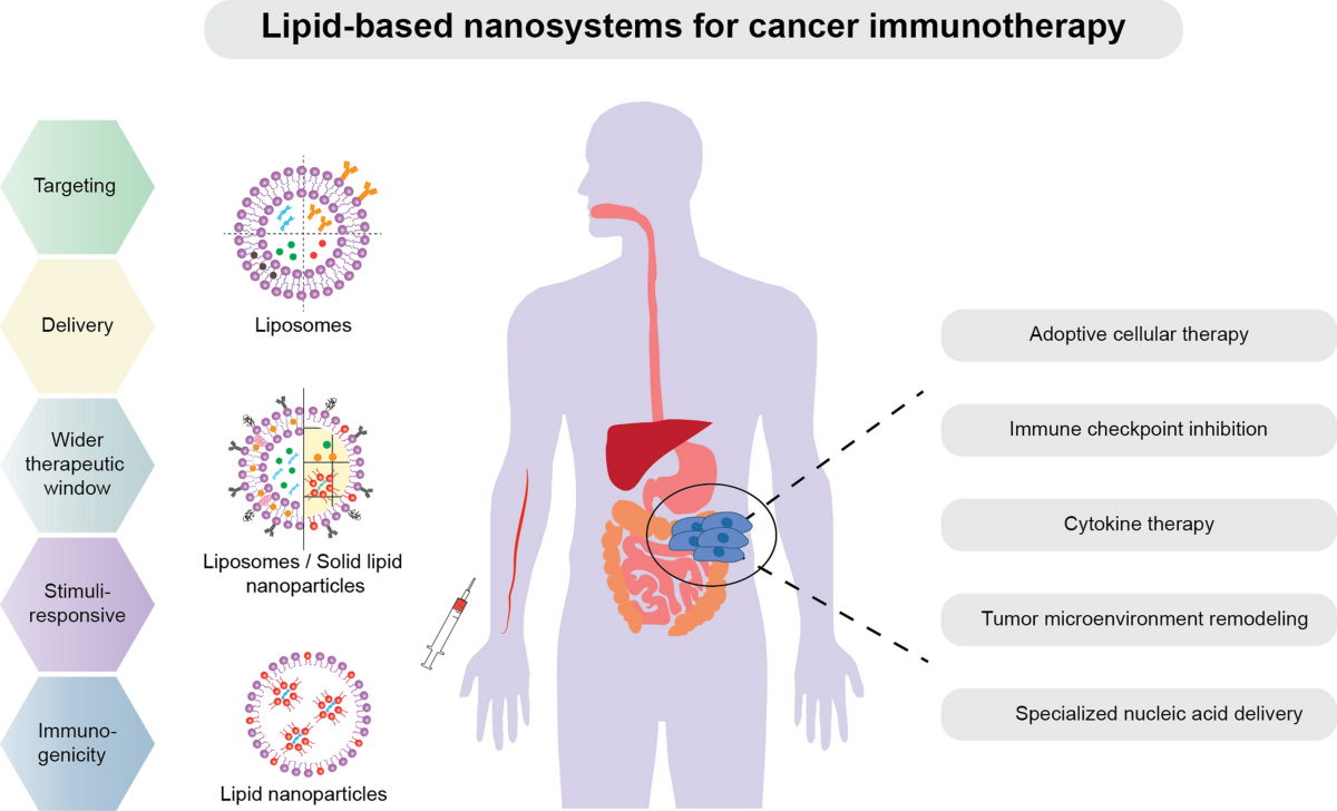 how to use ipamorelin peptide Ipamorelin 10mg