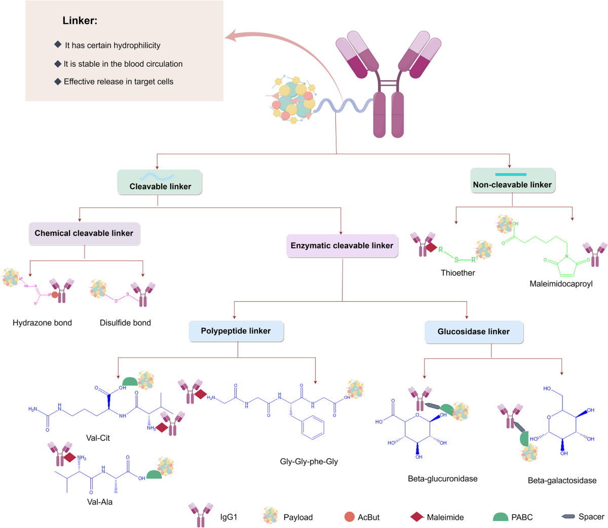 AntibodyDrug Conjugates (ADCs): current and future biopharmaceuticals | Journal of Hematology & Oncology | Springer Nature Link AntibodyDrug Conjugates (ADCs): current and future biopharmaceuticals | Journal of Hematology & Oncology | Springer Nature Link