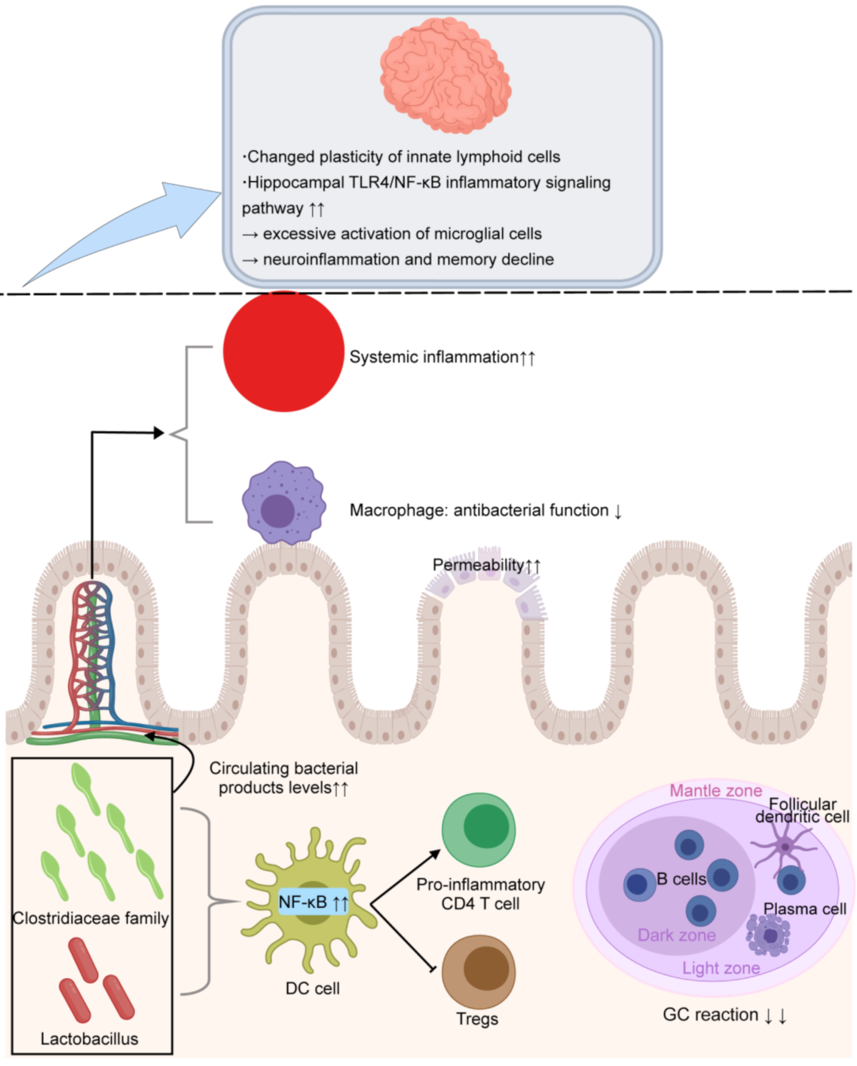 Viral video of Saili Jadhav