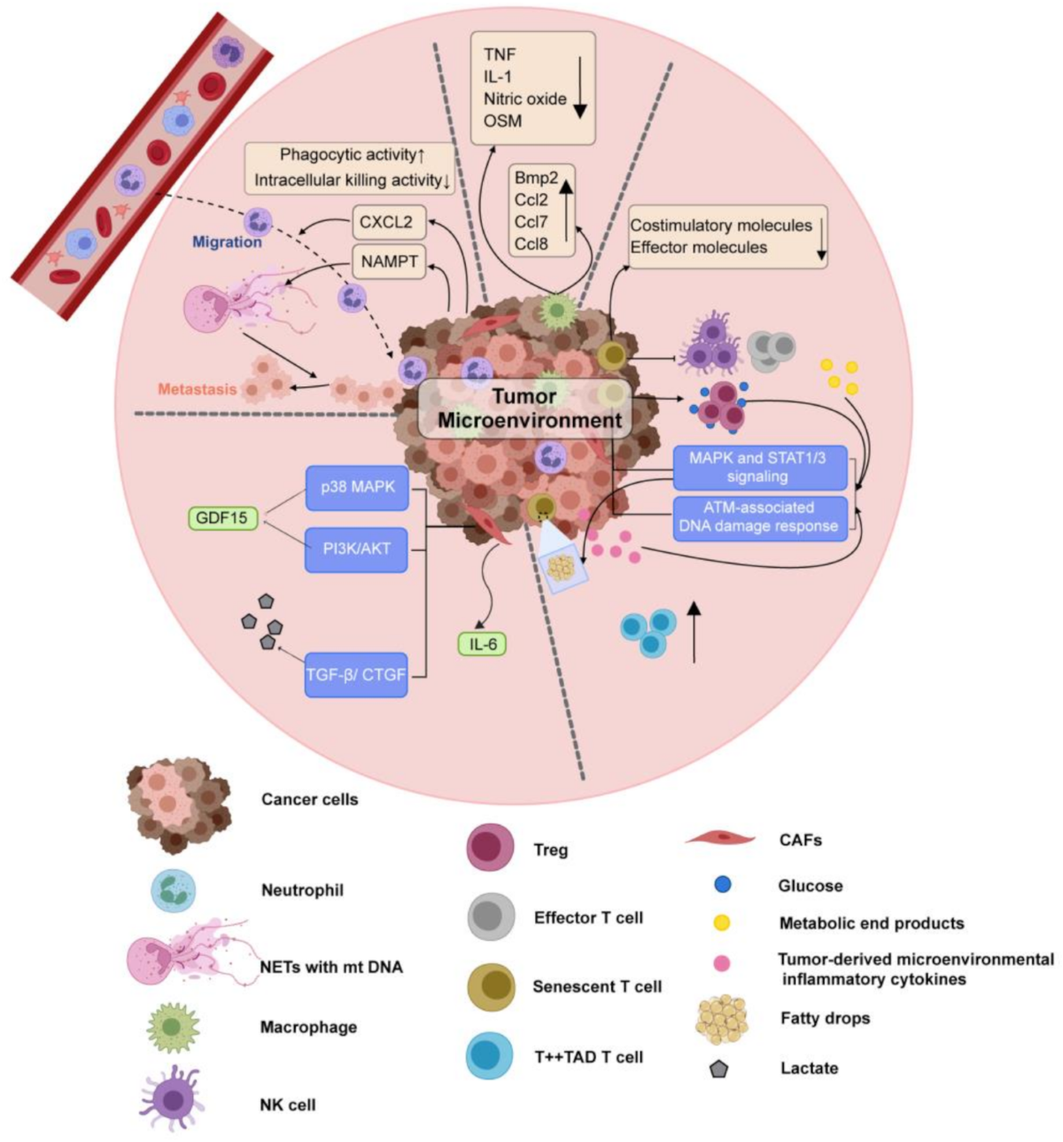 Underground fan base