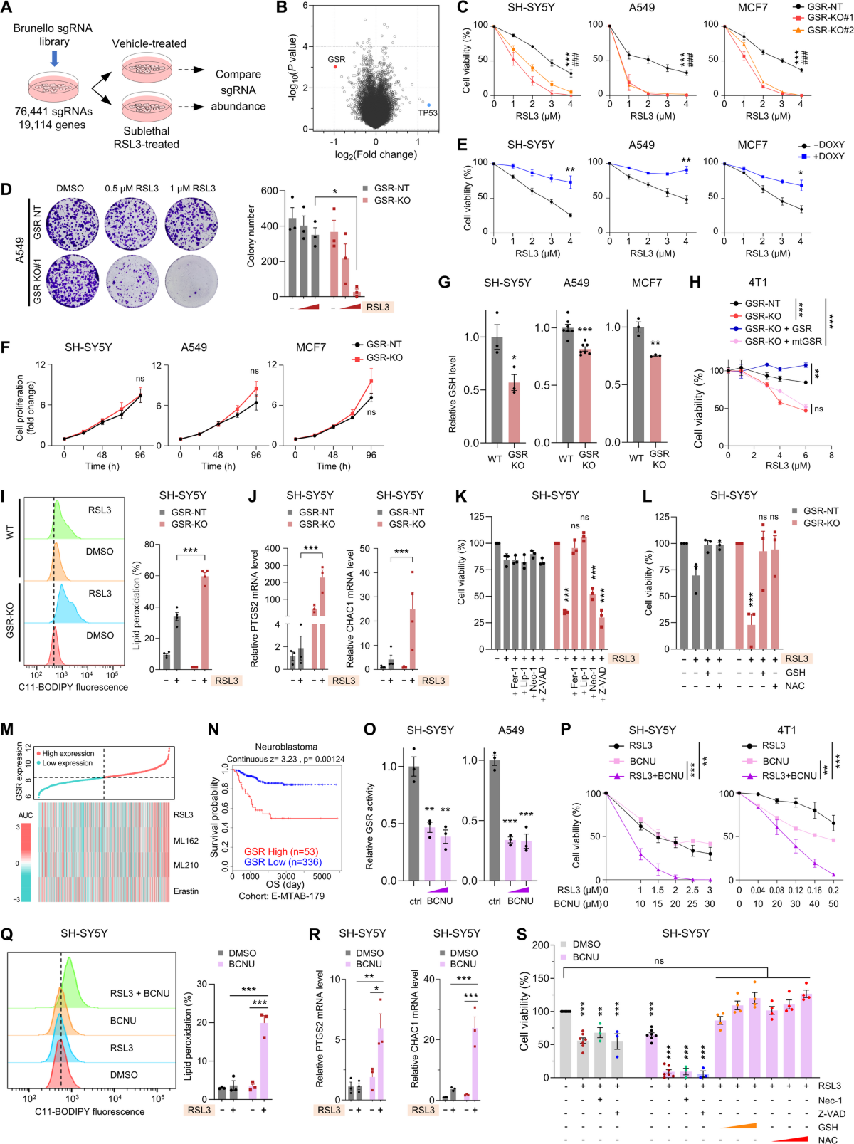 value for glutathione 6000 injectable reductase deficiency potentiates the immunogenicity of ferroptosis and cuproptosis via amplified reactive oxygen species accumulation and cGAS-STING pathway activation | Journal of Hematology & Oncology Infusion therapy offers hope Fall Weight:140g