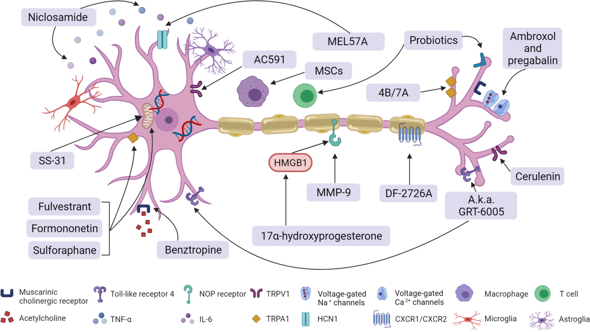 oxaliplatin neuropathy glutathione Targeting strategies for oxaliplatin-induced peripheral neuropathy:  clinical syndrome, molecular basis, and drug development | Journal of  Experimental & Clinical Cancer Research