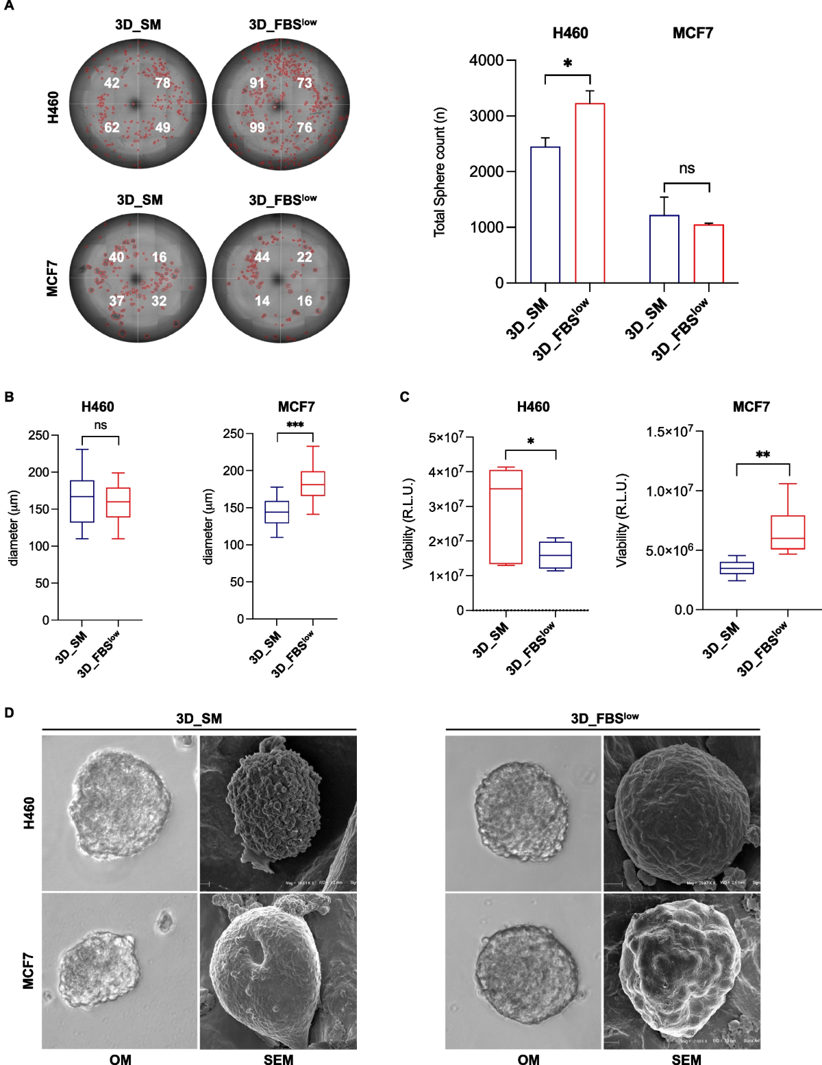 ALDOC- and ENO2- driven glucose metabolism sustains 3D tumor spheroids  growth regardless of nutrient environmental conditions: a multi-omics  analysis | Journal of Experimental & Clinical Cancer Research | Full Text