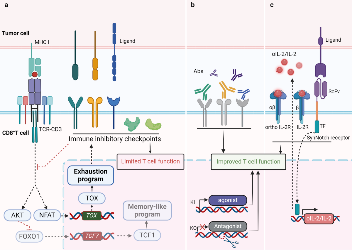 Module 1 - RUO, image size:1200x852