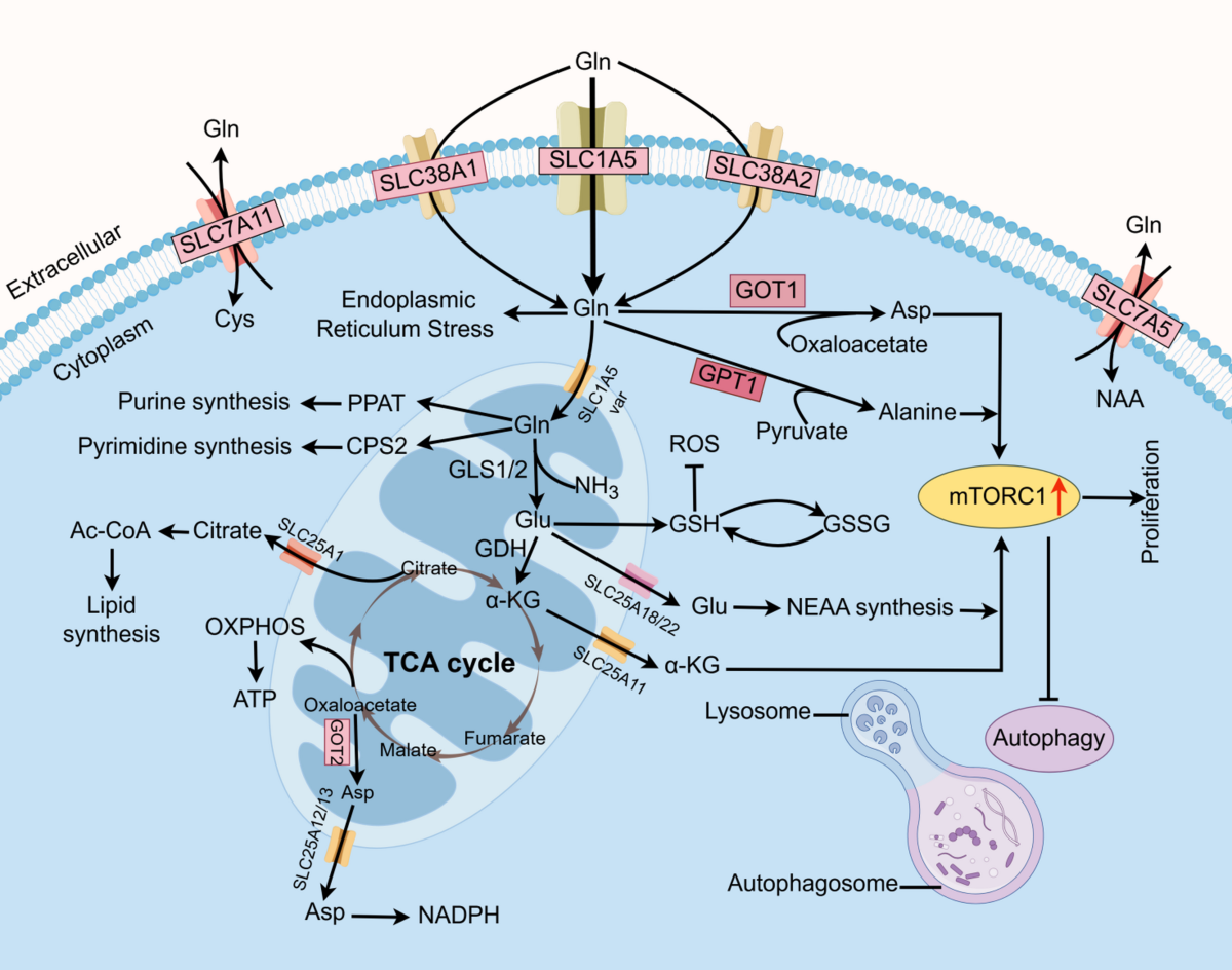 glutathione injection cost in hyderabad Glutathione Injections : Benefits, Cost And Side Effects