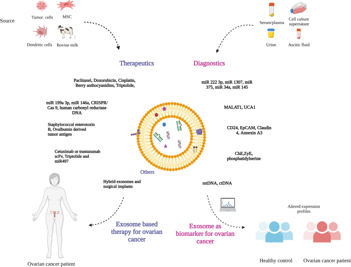 Exosomes in diagnostic and therapeutic applications of ovarian cancer |  Journal of Ovarian Research | Full Text