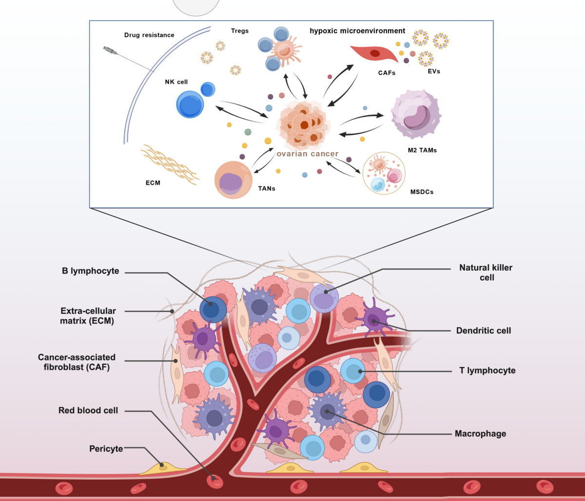 nakka glutathione review Remember to take every day before breakfast to support your gut health and promote glowing skin. Consistent use ensures you reap its full benefits for overall well-being. Role of the tumor microenvironment
