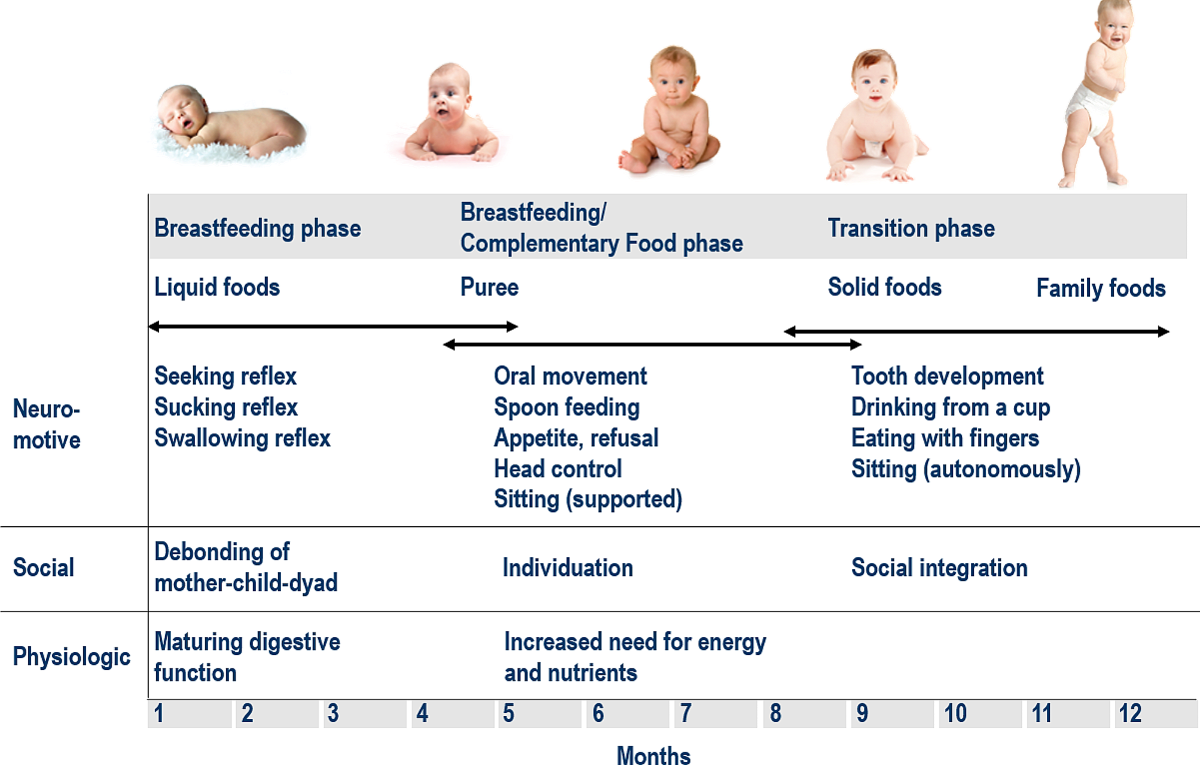 How Baby Swallowing Development Changes With Age