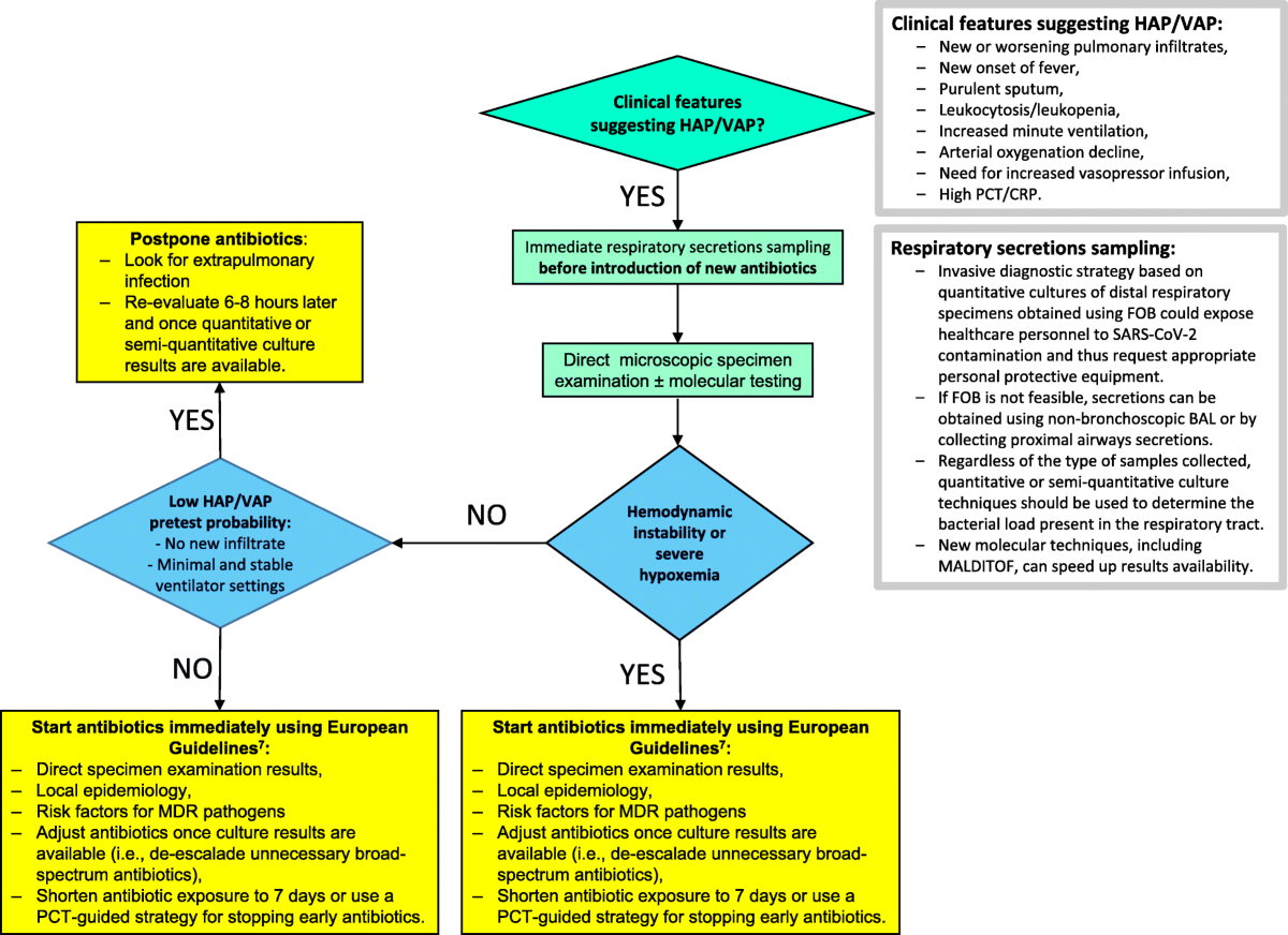 The challenge of ventilator-associated pneumonia diagnosis in COVID-19 patients | Critical Care | Springer Nature Link The challenge of ventilator-associated pneumonia diagnosis in COVID-19 patients | Critical Care | Springer Nature Link