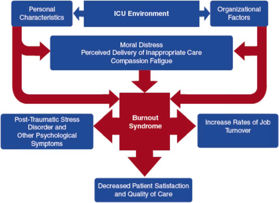Burnout and Joy in the Profession of Critical Care Medicine