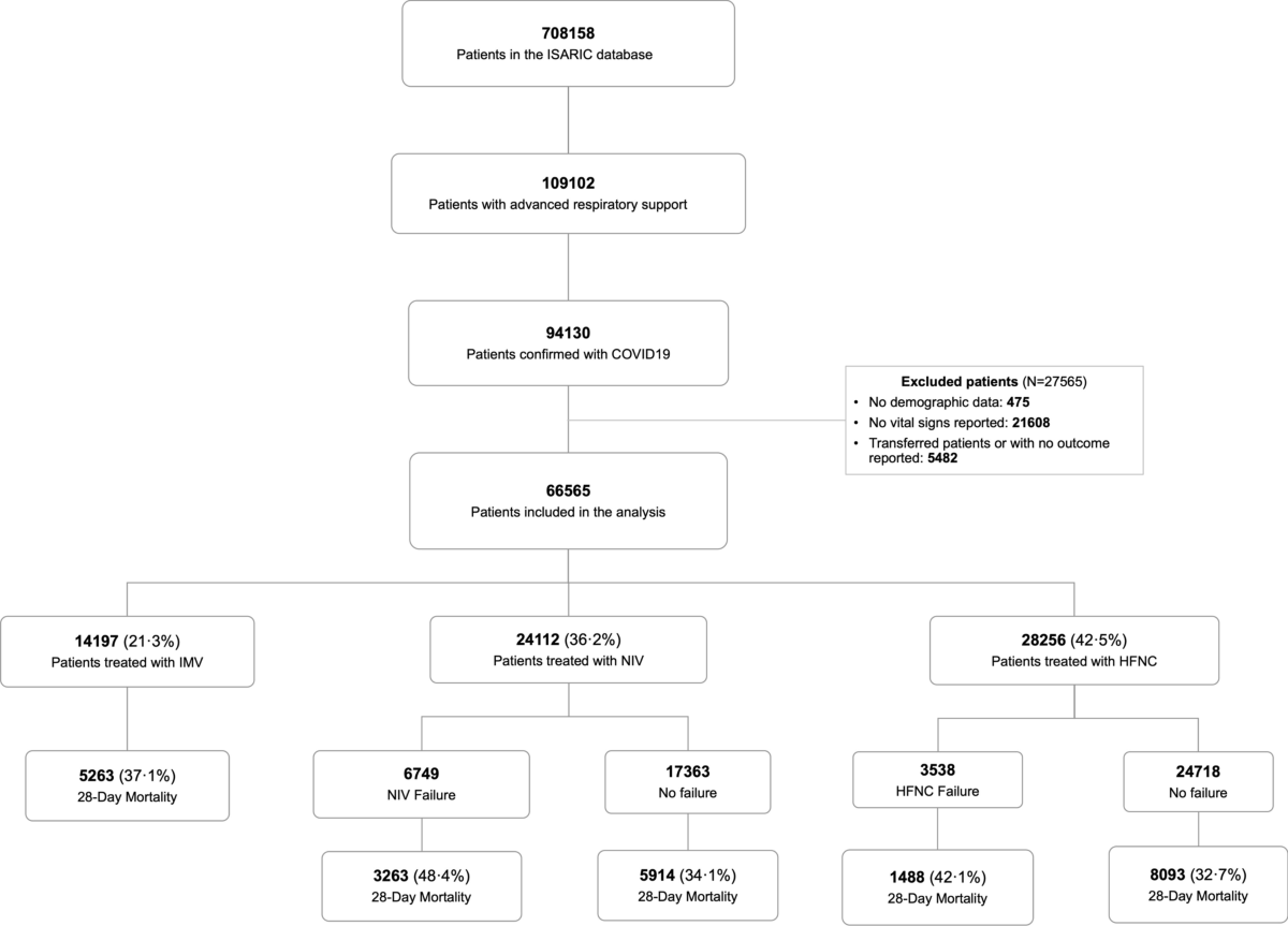 Respiratory support in patients with severe COVID 19 in the  
