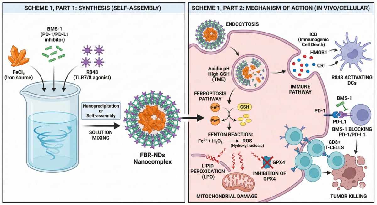 what ph should your glutathione have before you nebulize it FBR-NDs: a ferroptosis-inducing nanocomplex for targeted breast cancer therapy via immune modulation and redox-responsive drug delivery | Breast Cancer Research Precious Skin Thailand Extra Placenta Scent:Eucalyptus