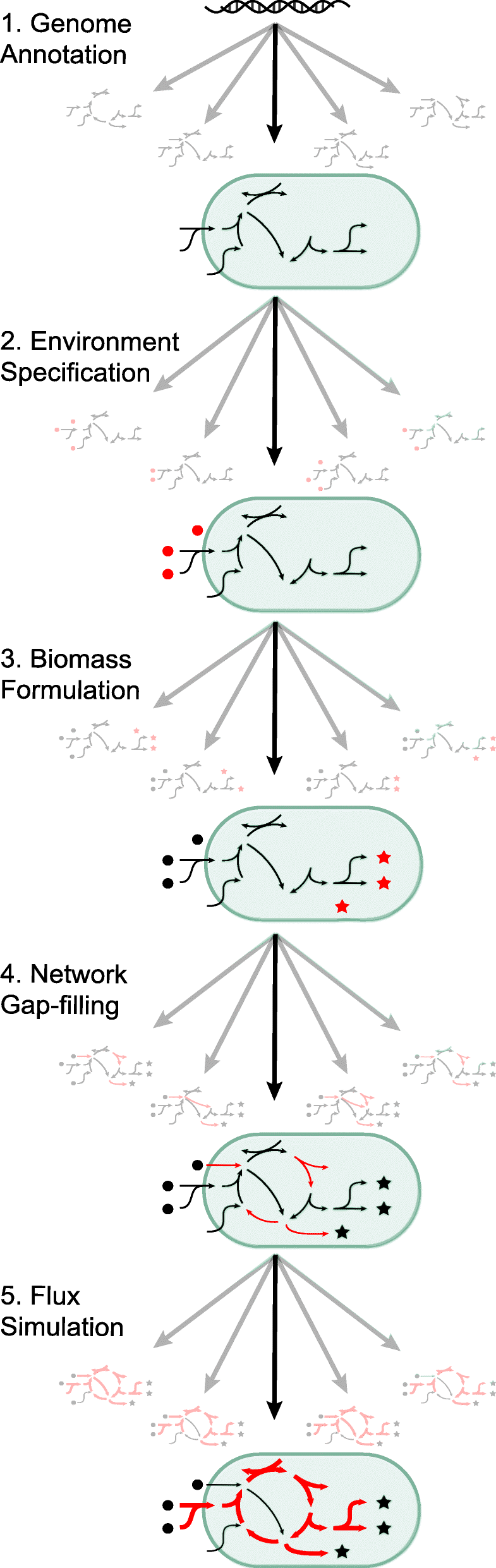 Addressing uncertainty in genome-scale metabolic model reconstruction and  analysis | Genome Biology | Springer Nature Link