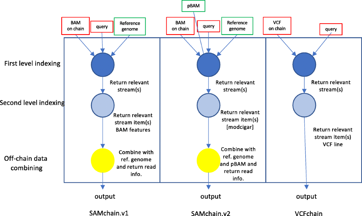 Storing and analyzing a genome on a blockchain | Genome Biology | Springer  Nature Link