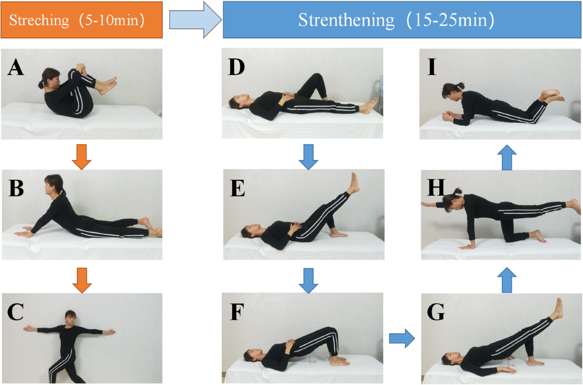 Roman Chair Printable Core Exercises For Seniors With Pictures